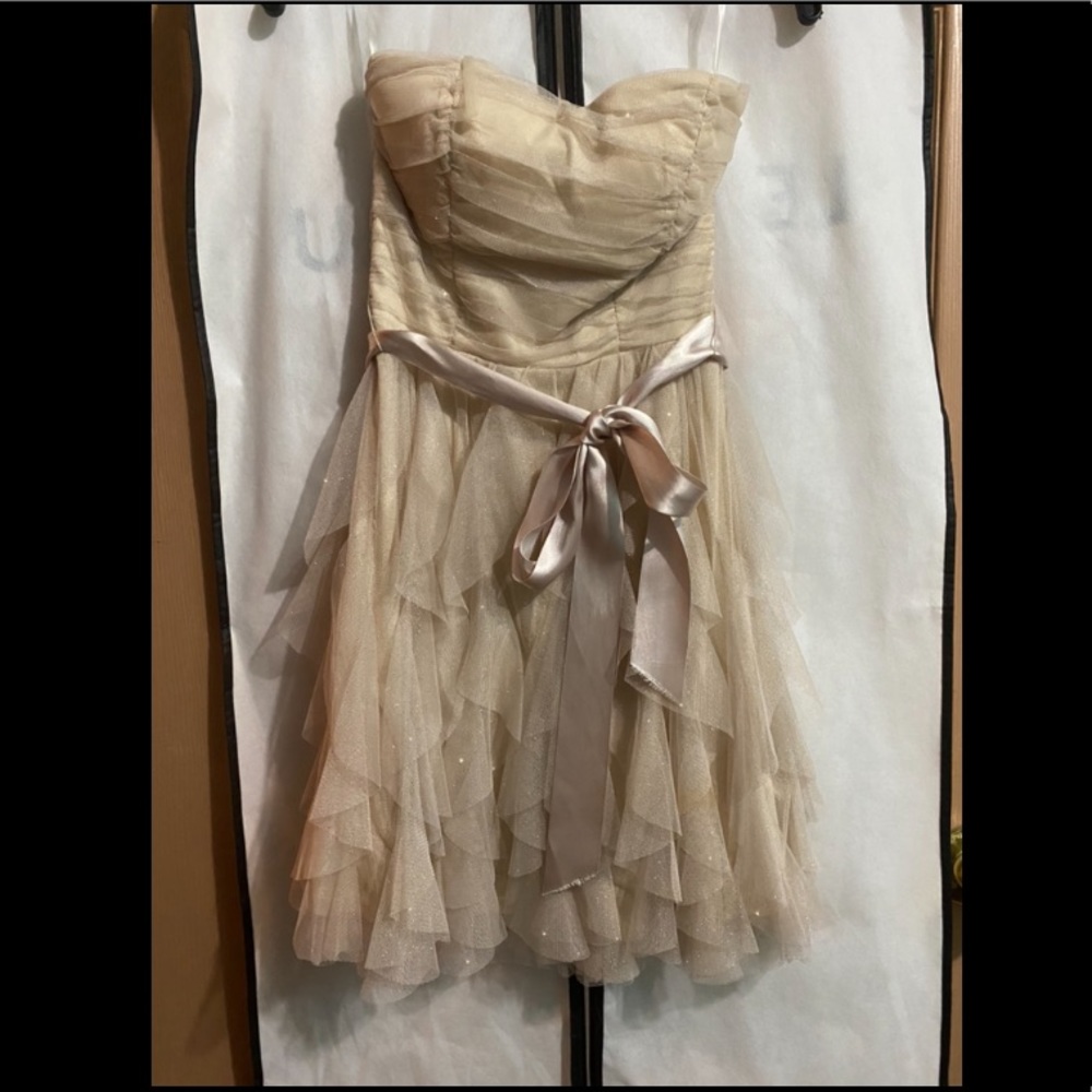 Le Chateau Beige Sparkly Dress
